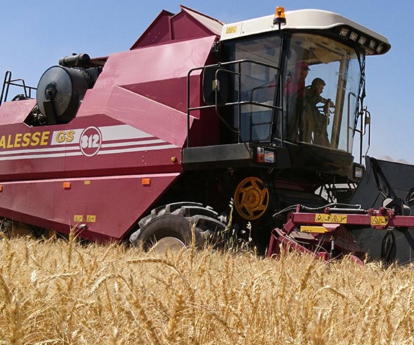 کمباين PALESSE GS812